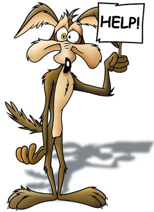 Coyote
