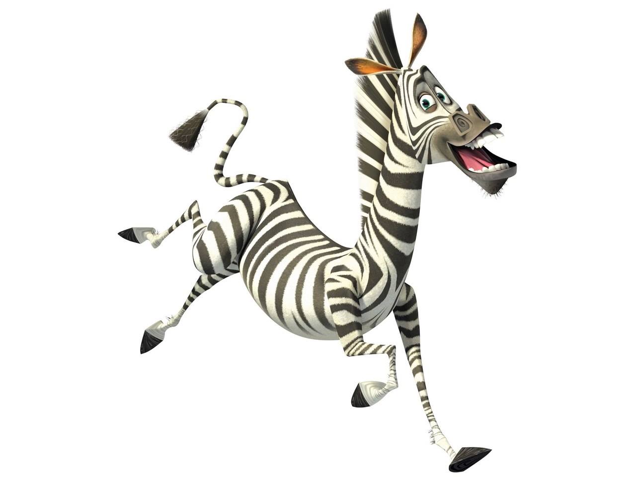 Zebra4